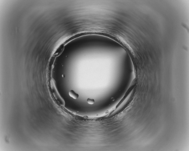 X0000094221085200710261225