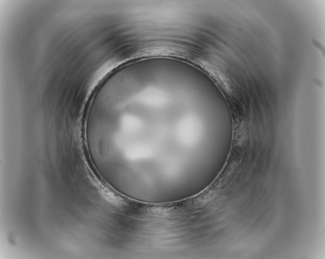 X0000094221086200710261225