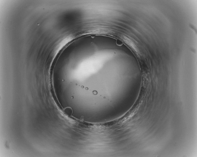 X0000094221087200710261225
