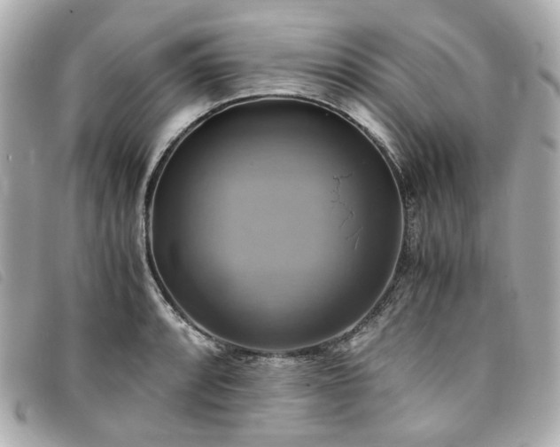 X0000094221088200710261225