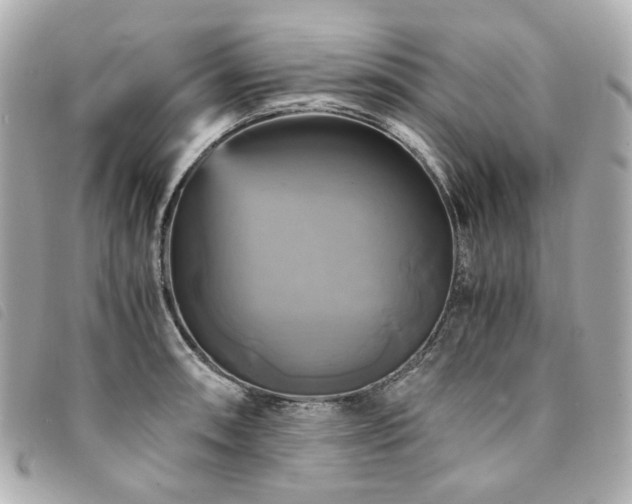 X0000094221090200710261225