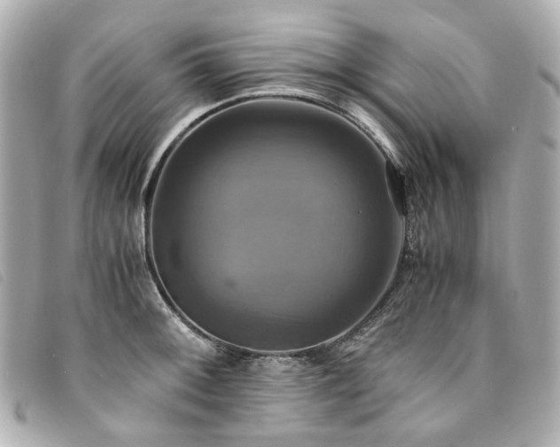 X0000094221092200710261225
