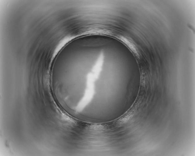 X0000094221094200710261225