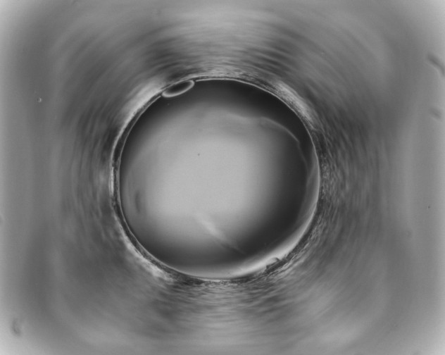 X0000094221095200710261225