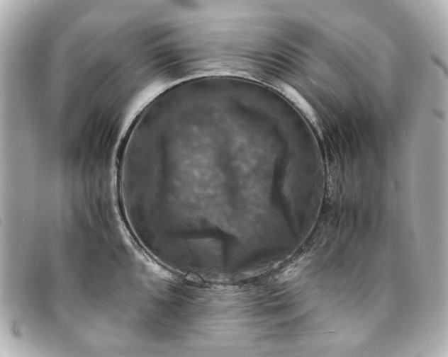 X0000094221096200710261225