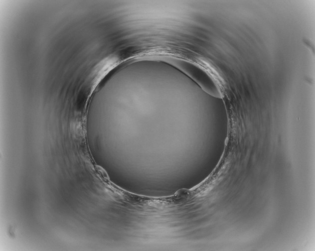 X0000094221097200710261225