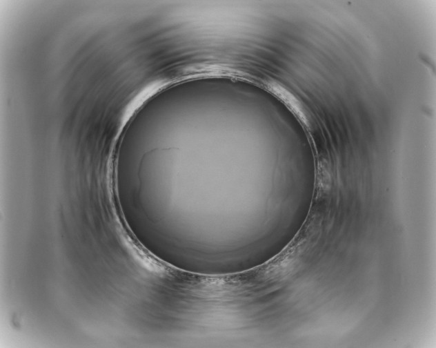 X0000094221098200710261225