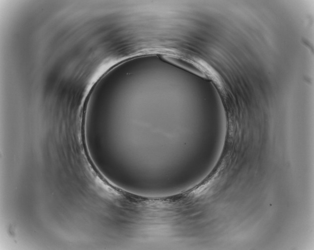 X0000094221102200710261225