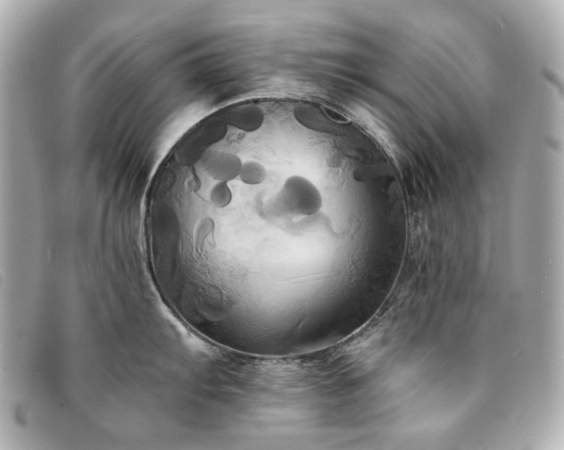 X0000094221103200710261225