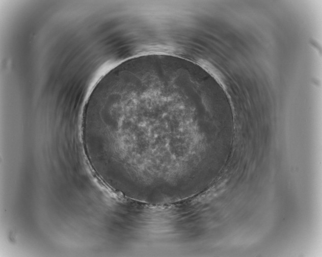 X0000094221104200710261225