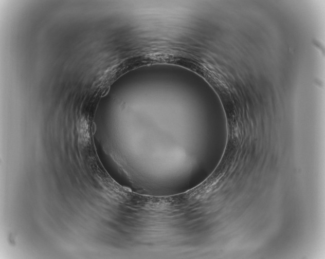 X0000094221106200710261224