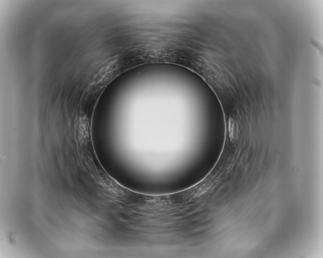 X0000094221107200710261224