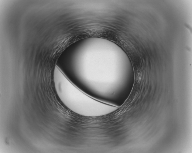 X0000094221108200710261224
