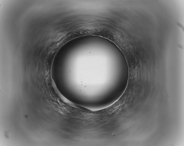 X0000094221109200710261224
