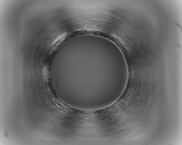 X0000094221110200710261224