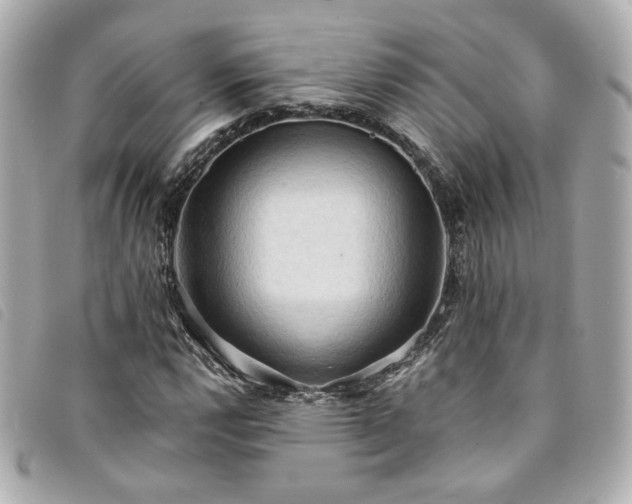 X0000094221112200710261224