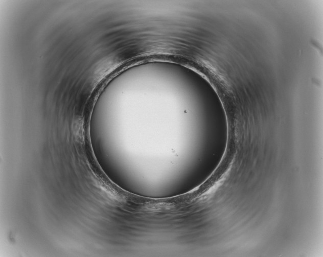 X0000094221113200710261224