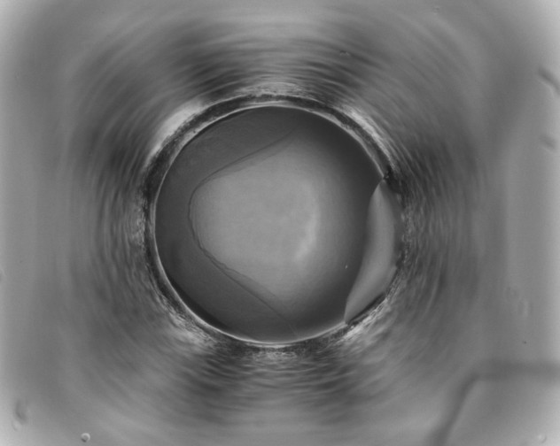 X0000094221115200710261224