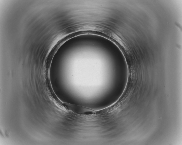 X0000094221116200710261224