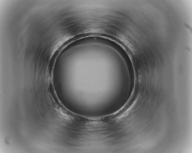 X0000094221117200710261224