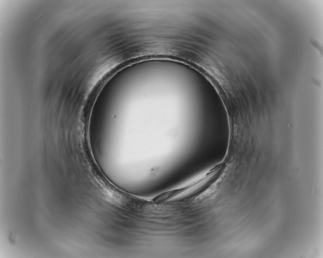 X0000094221119200710261224