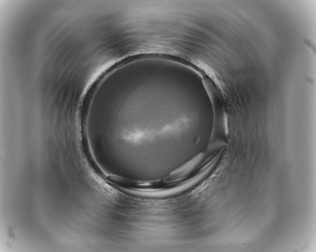 X0000094221120200710261224