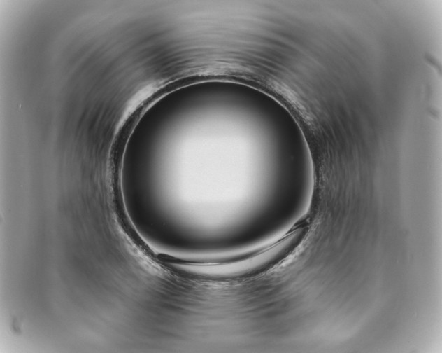 X0000094221122200710261224