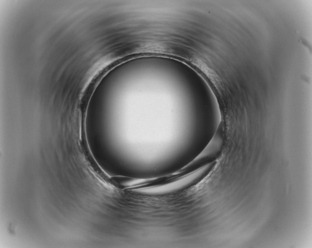 X0000094221123200710261224