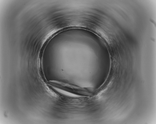 X0000094221125200710261224