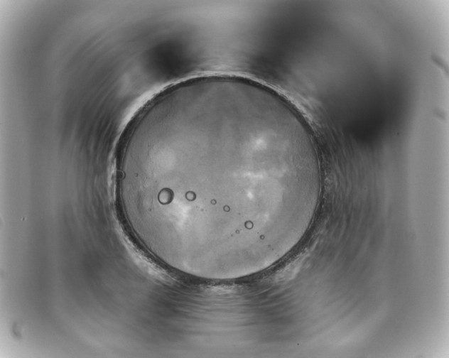 X0000094221126200710261224