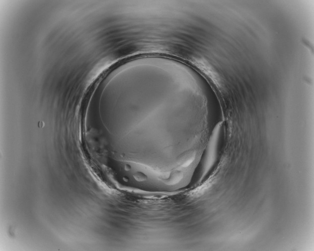 X0000094221127200710261224