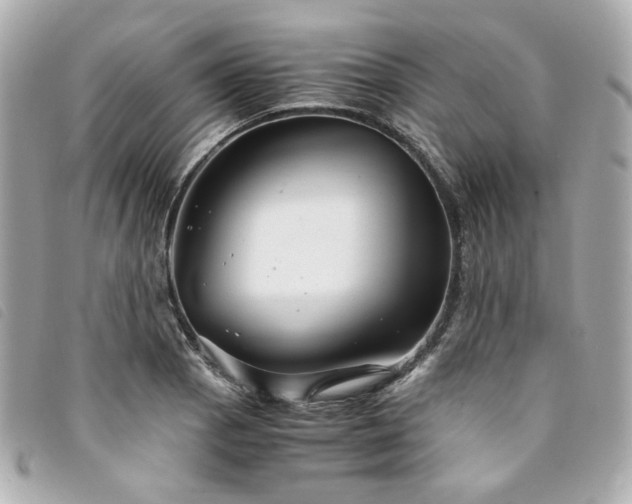 X0000094221129200710261225