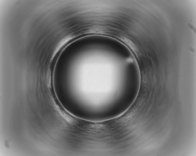 X0000094221131200710261225