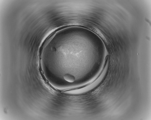 X0000094221132200710261225
