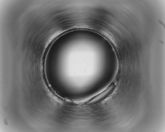 X0000094221133200710261225