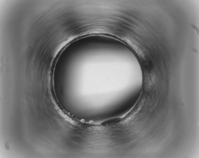 X0000094221134200710261225