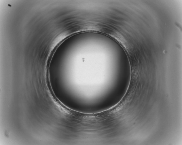 X0000094221135200710261225