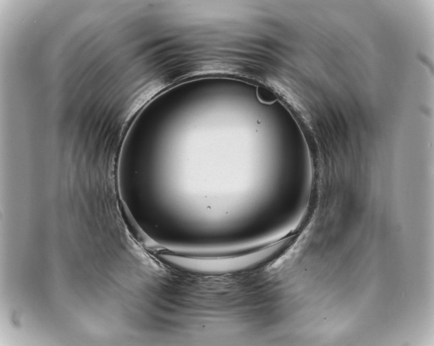 X0000094221137200710261225