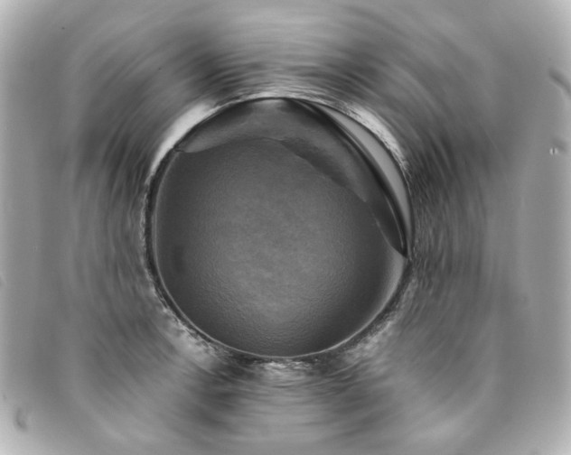 X0000094221138200710261225