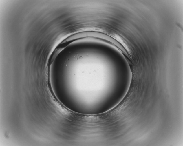 X0000094221140200710261225
