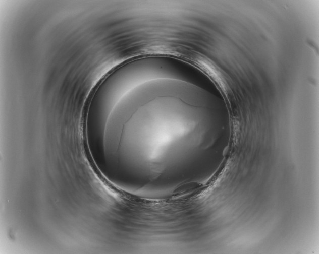 X0000094221141200710261225