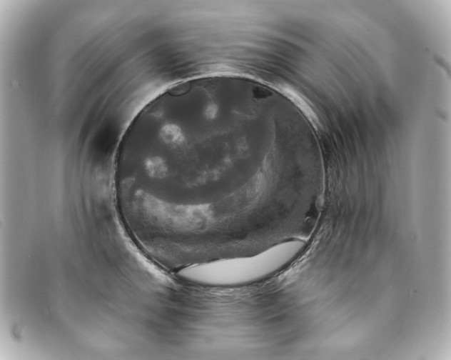 X0000094221142200710261225
