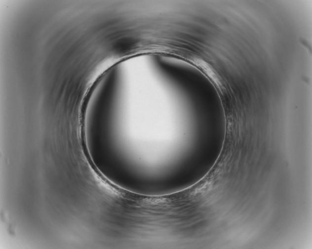 X0000094221143200710261225