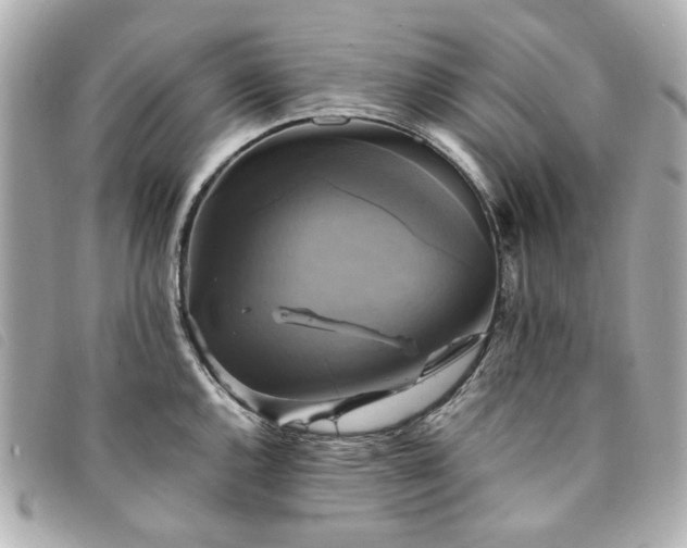X0000094221144200710261225