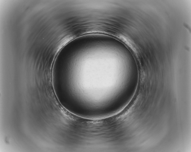 X0000094221145200710261225
