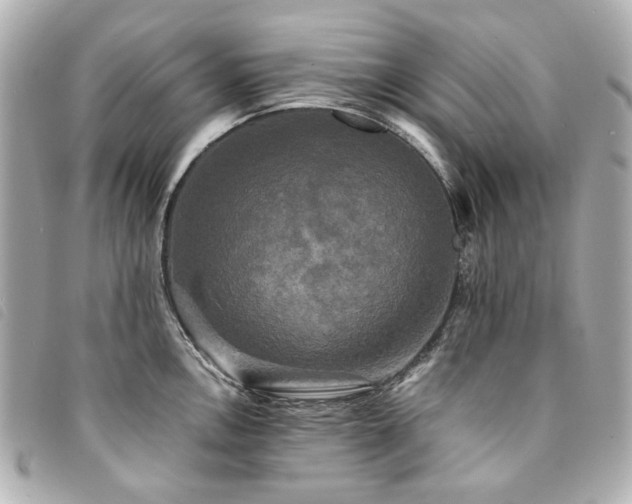X0000094221146200710261225