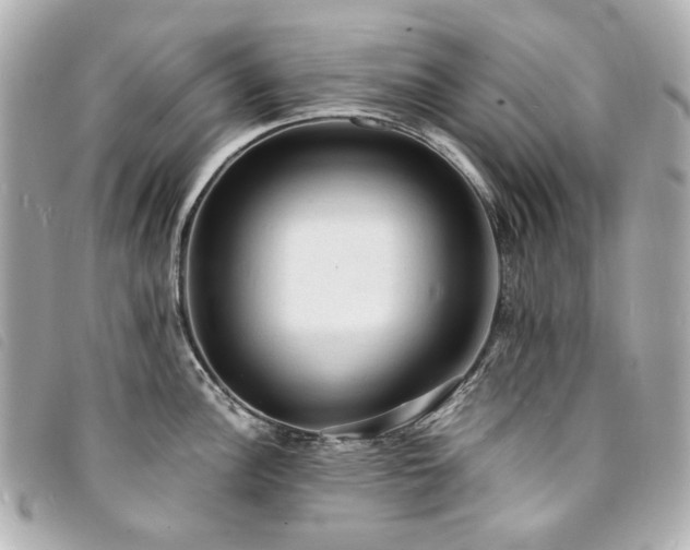 X0000094221148200710261225