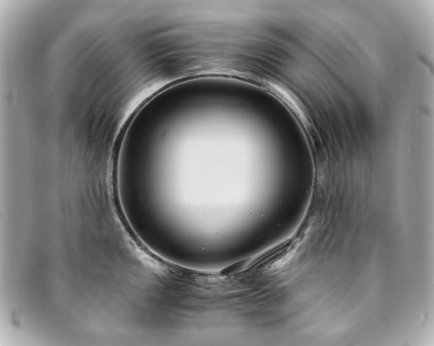 X0000094221149200710261225