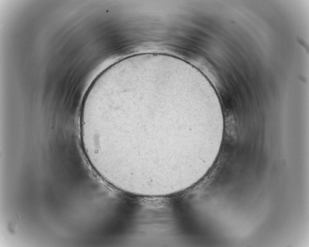 X0000094221150200710261225