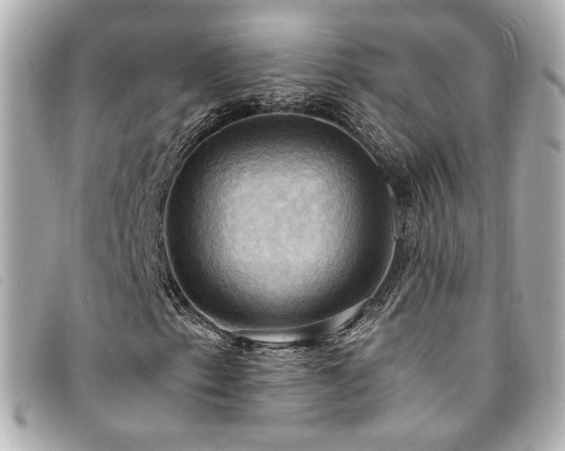 X0000094221153200710261224